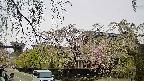area1-20250428150015.jpg