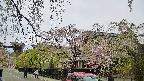 area1-20250428170015.jpg