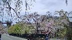 area1-20250428174014.jpg