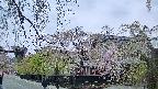 area1-20250428175014.jpg