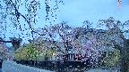 area1-20250428182016.jpg