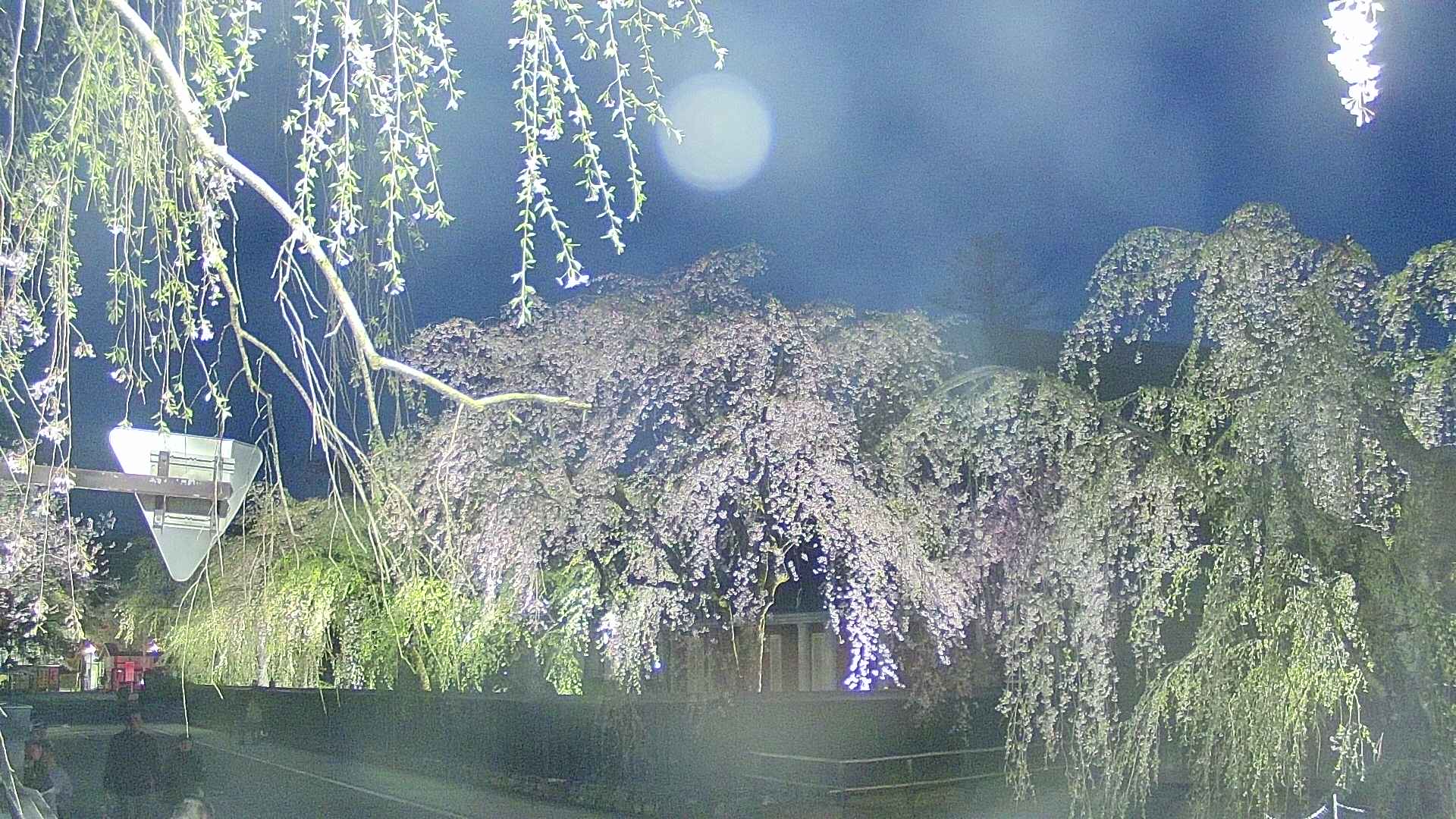 area1-20250428190015.jpg