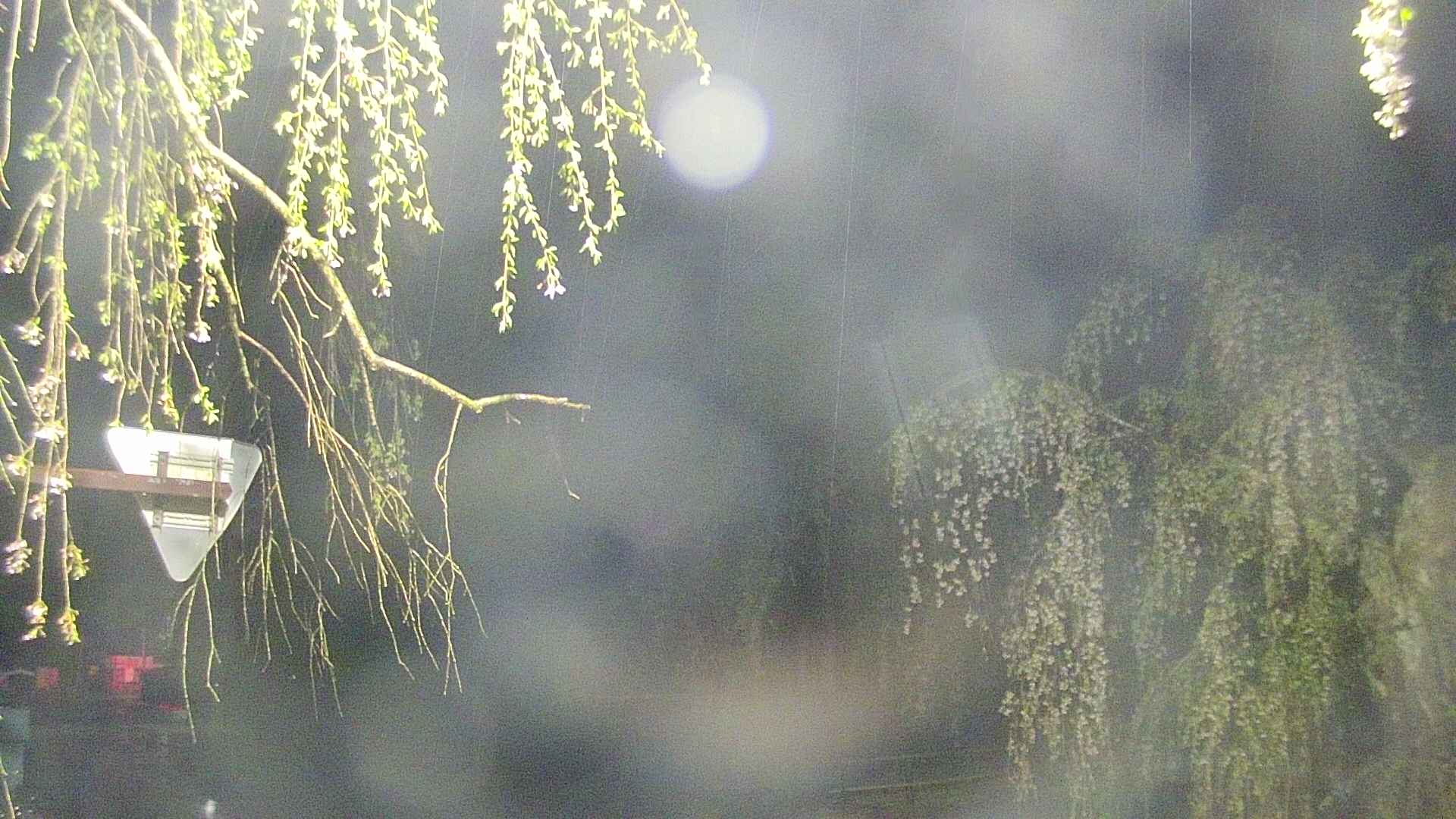 area1-20250429015014.jpg