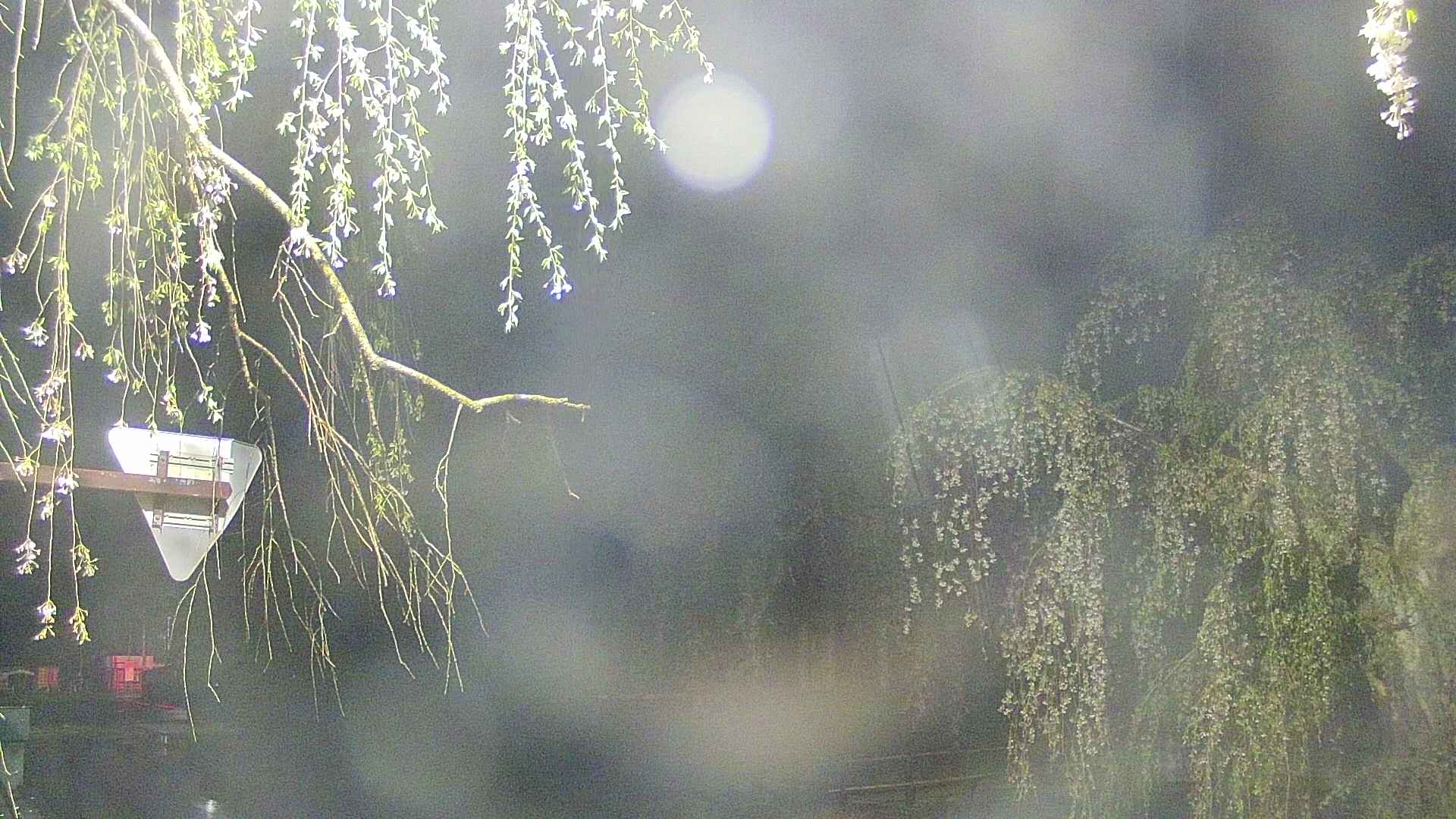area1-20250429024013.jpg