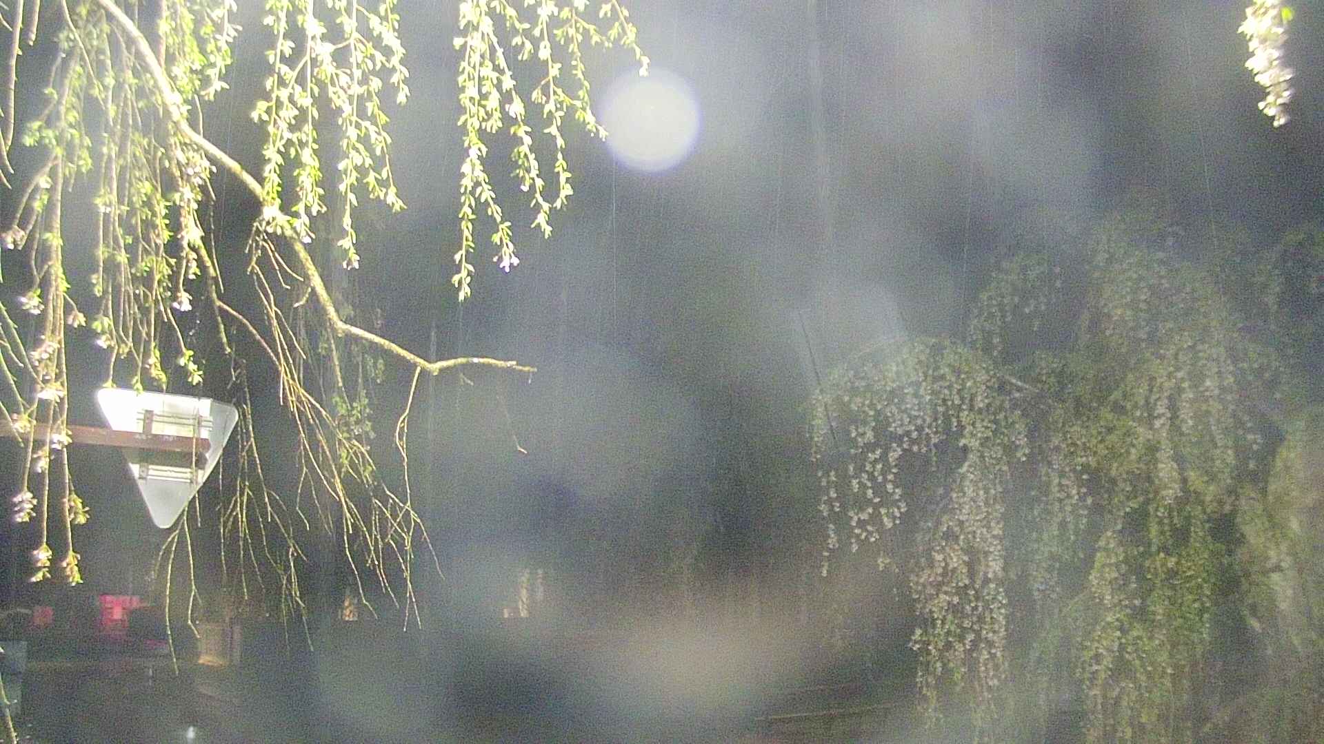 area1-20250429025015.jpg