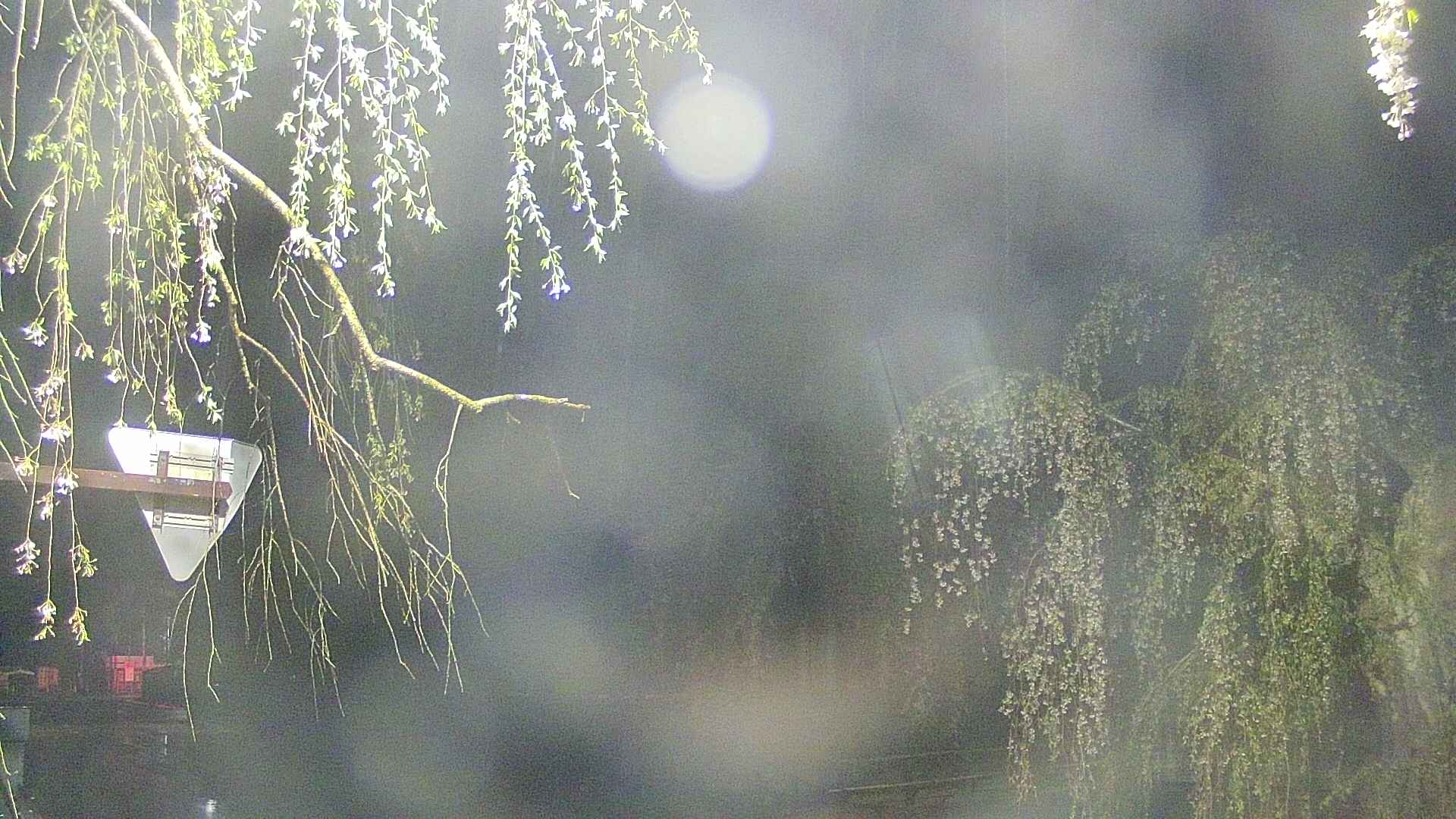 area1-20250429030015.jpg