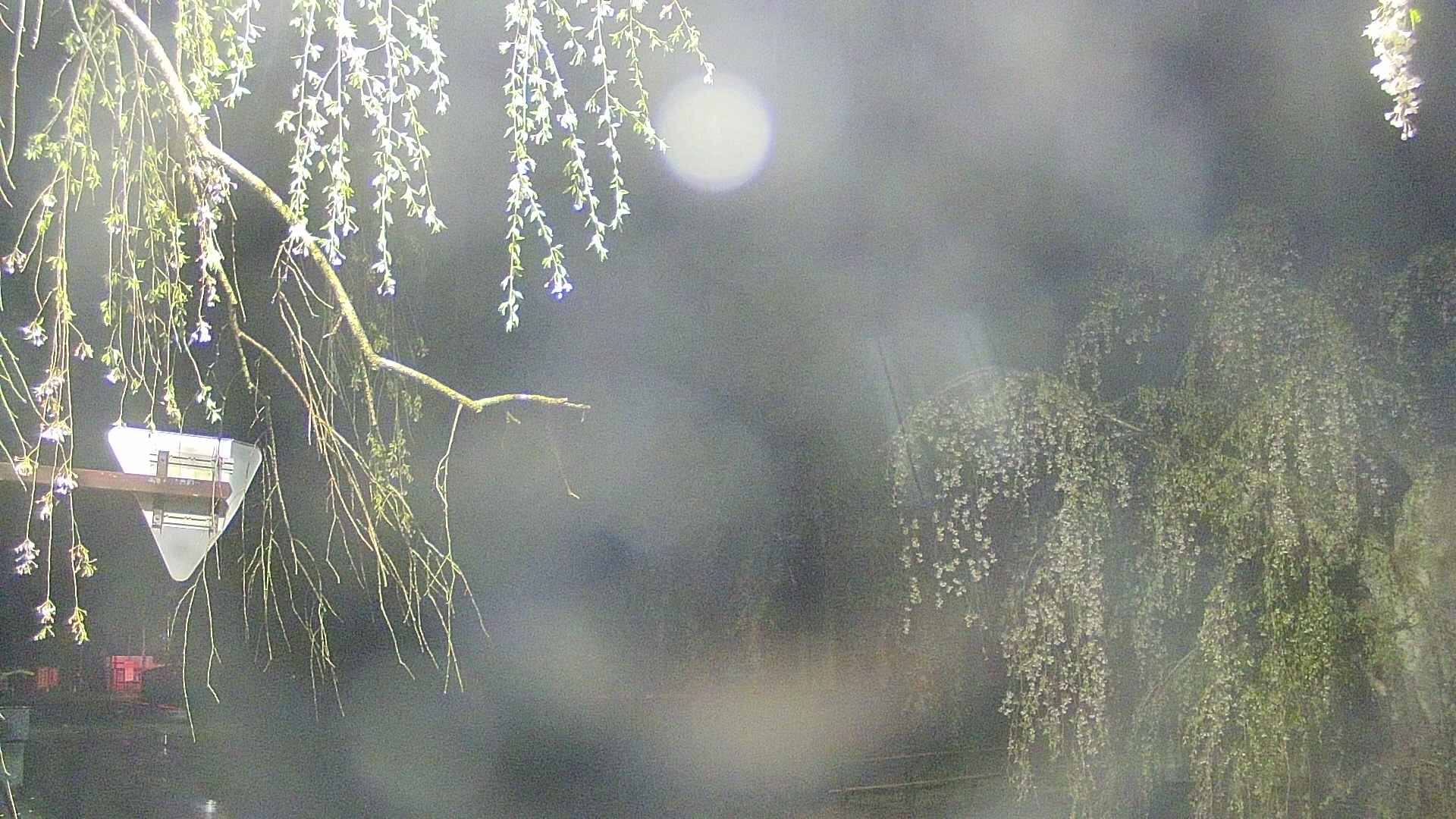area1-20250429031016.jpg