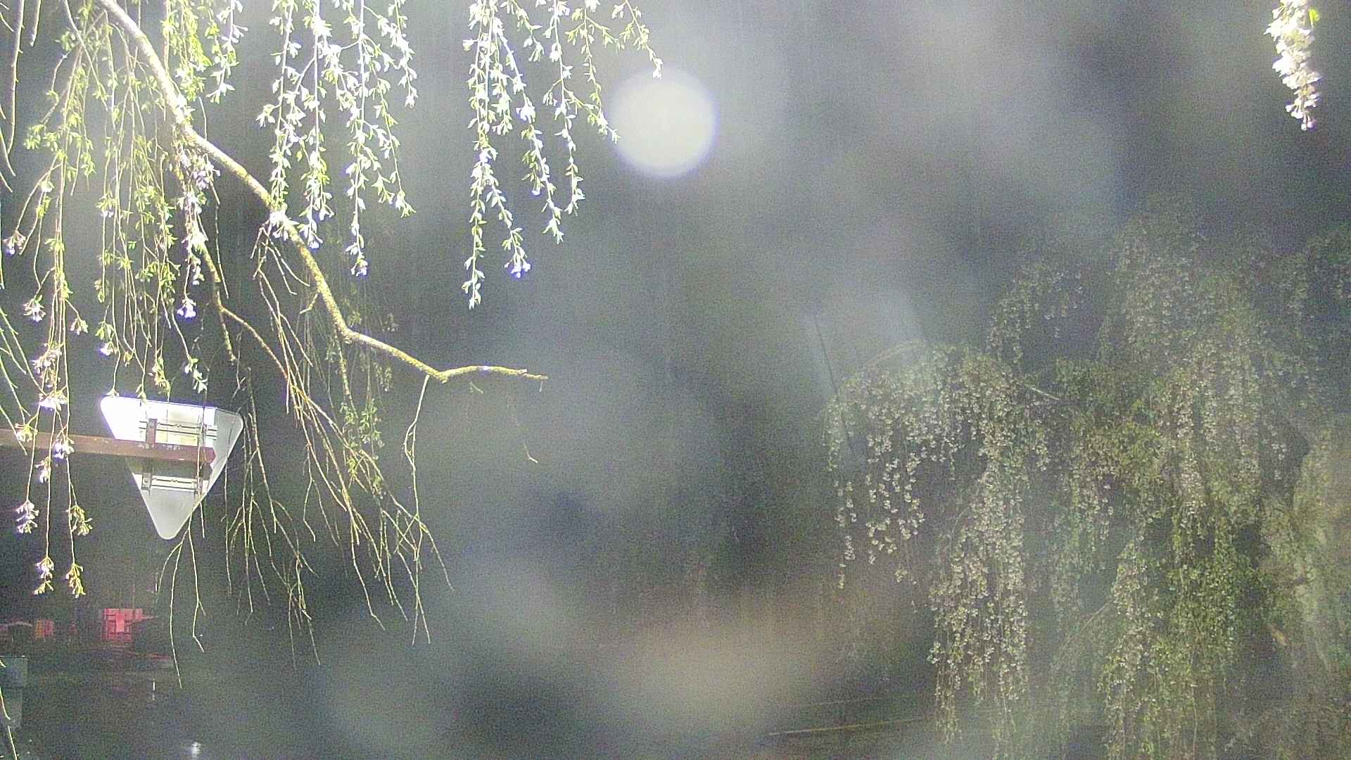 area1-20250429032016.jpg