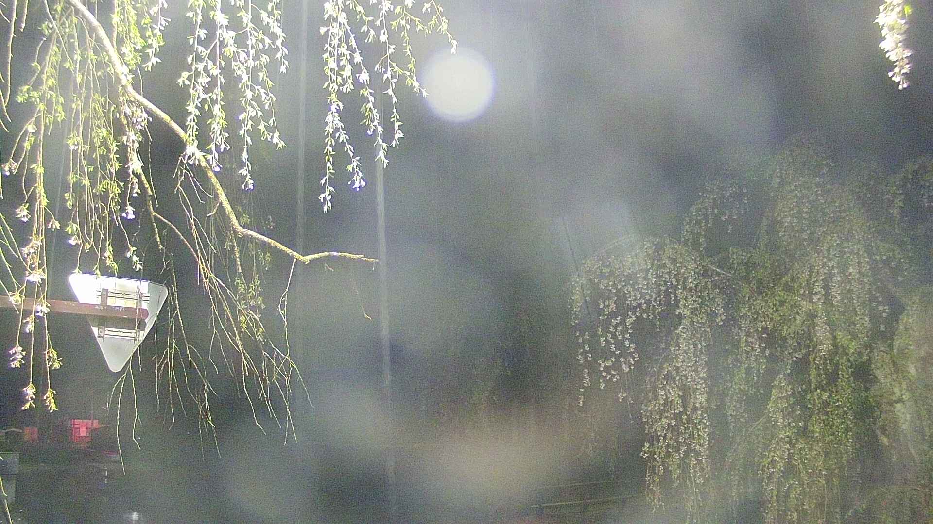 area1-20250429034013.jpg