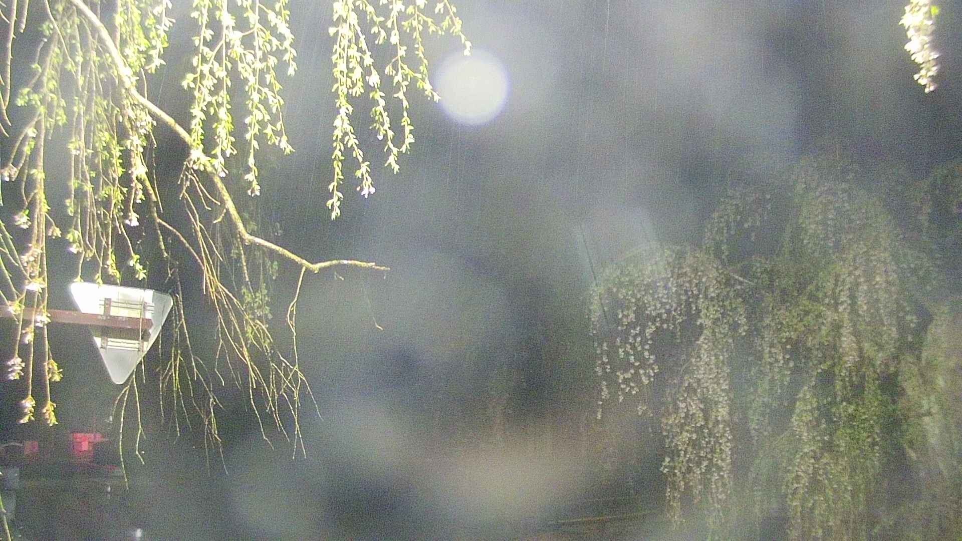 area1-20250429035016.jpg