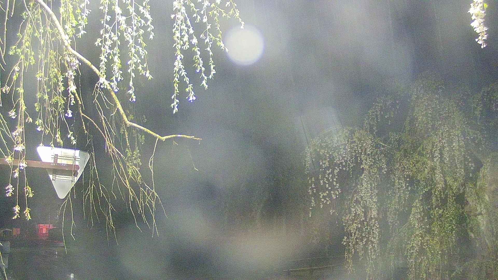 area1-20250429040014.jpg