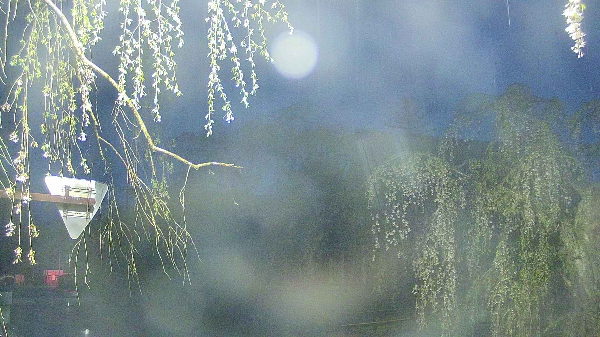 area1-20250429041015.jpg