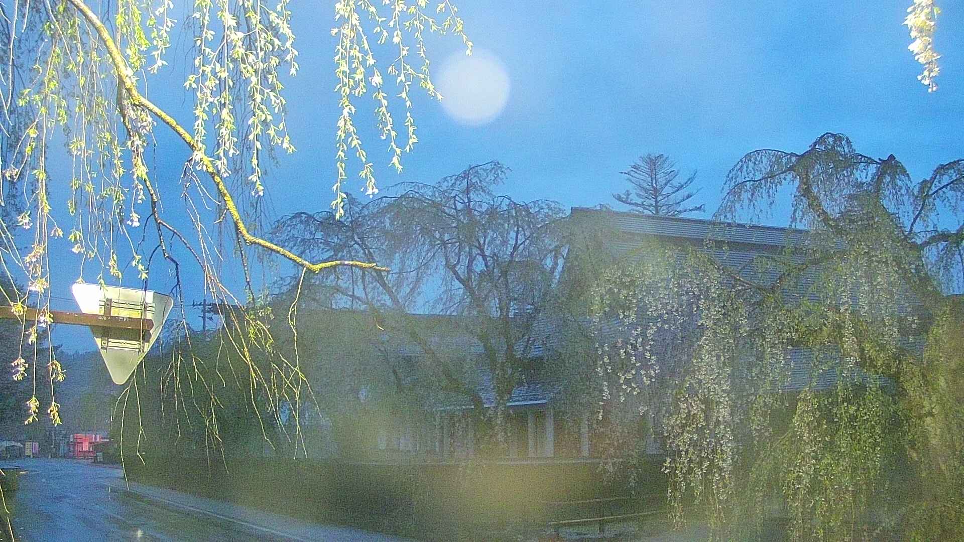 area1-20250429042015.jpg