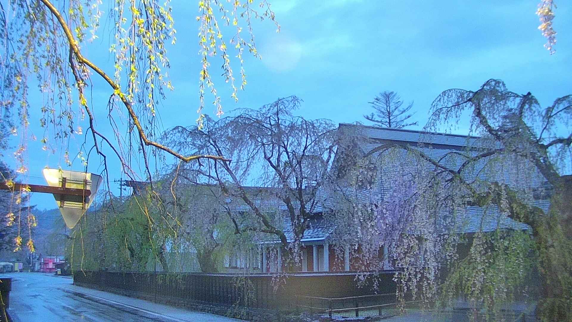 area1-20250429043016.jpg