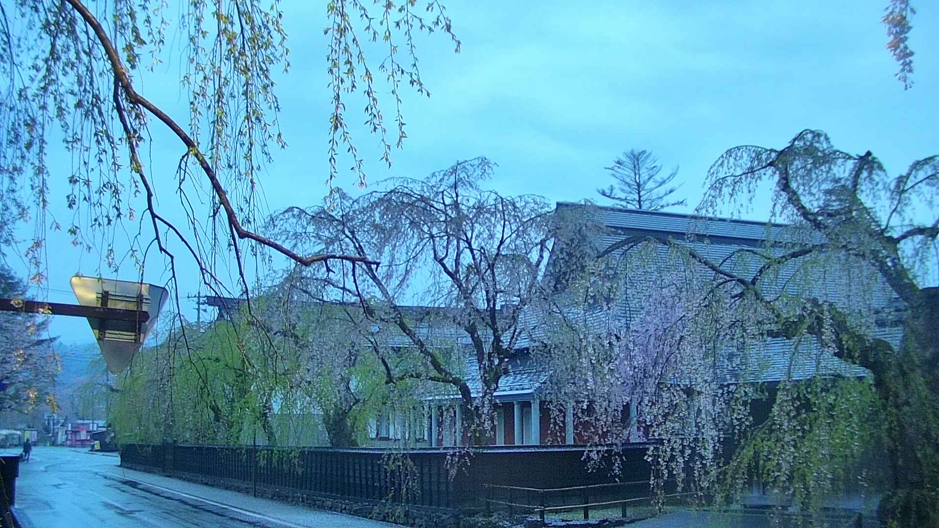area1-20250429045015.jpg