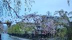 area1-20250429050015.jpg