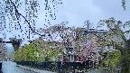 area1-20250429052015.jpg