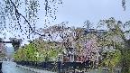 area1-20250429054015.jpg