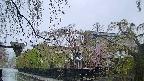 area1-20250429072015.jpg