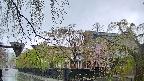 area1-20250429074014.jpg