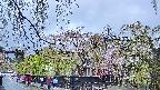 area1-20250429094015.jpg