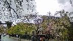 area1-20250429102015.jpg