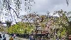 area1-20250429103014.jpg