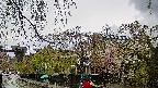 area1-20250429115016.jpg