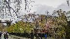 area1-20250429120015.jpg