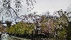 area1-20250429125014.jpg