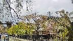 area1-20250429140016.jpg