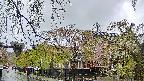 area1-20250429152016.jpg