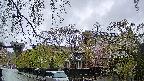 area1-20250429164015.jpg