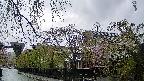 area1-20250429171015.jpg