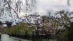 area1-20250429172015.jpg
