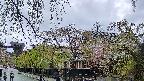 area1-20250429175015.jpg