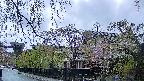 area1-20250429180014.jpg