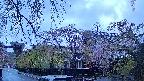 area1-20250429182014.jpg