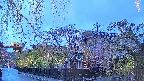 area1-20250429183014.jpg
