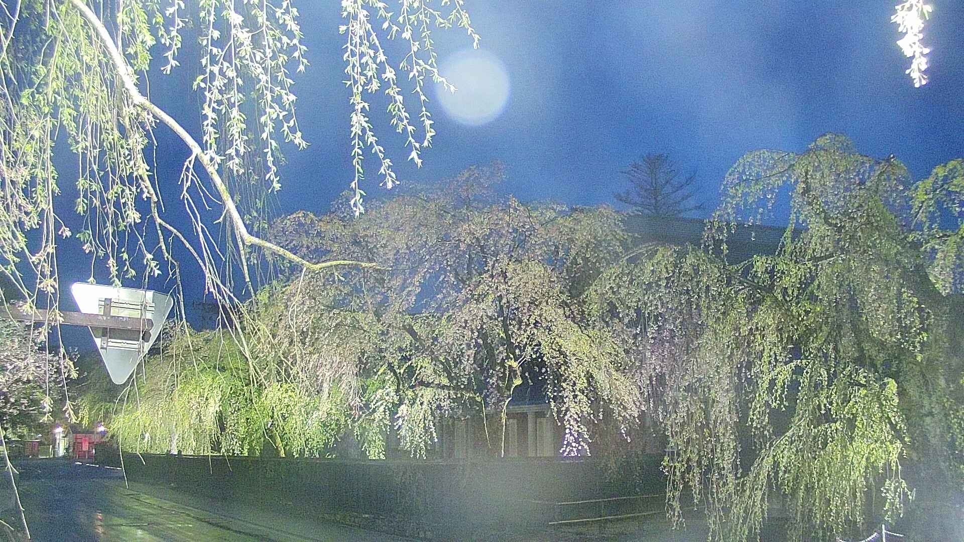 area1-20250429190015.jpg