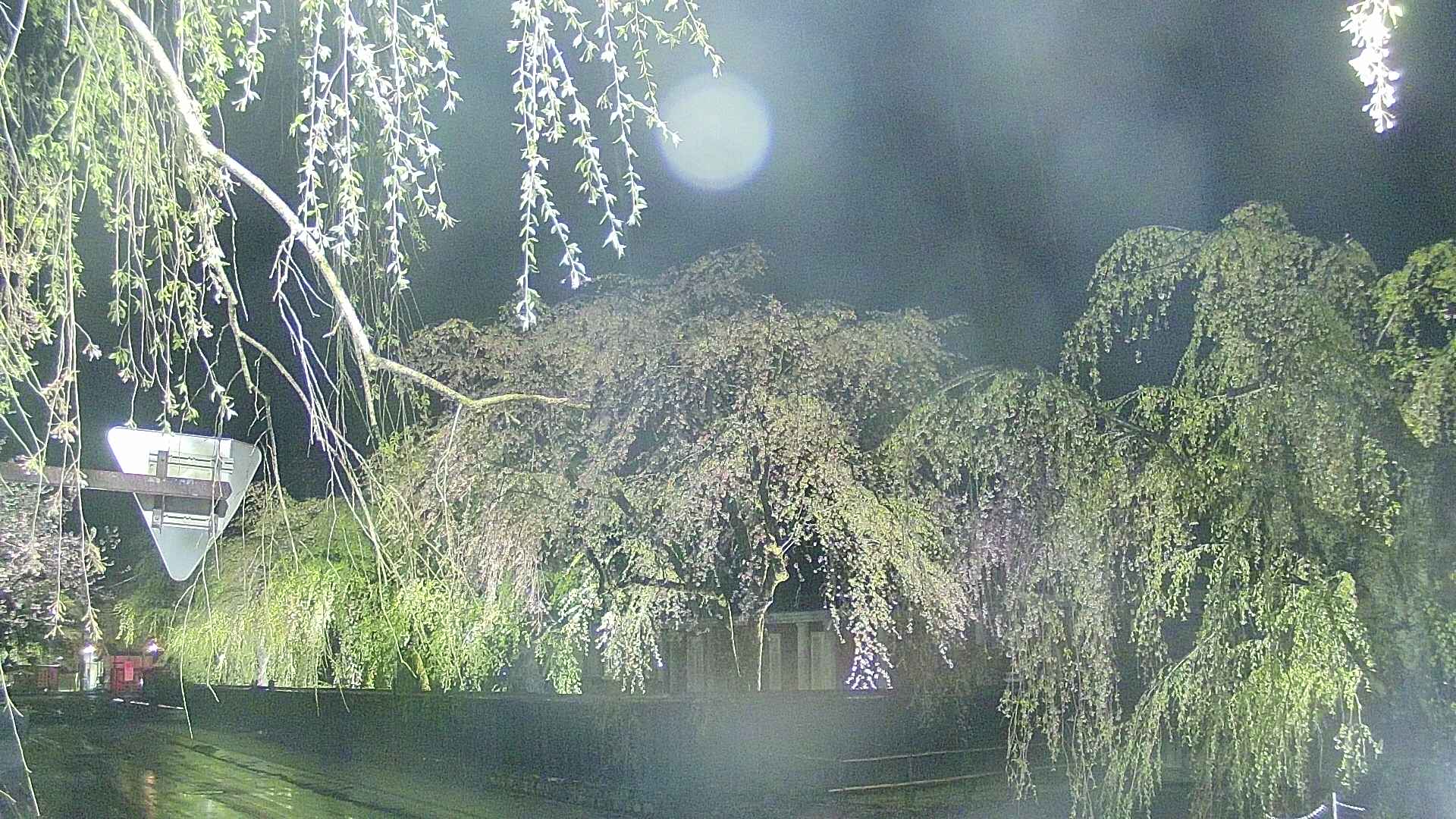 area1-20250429193015.jpg