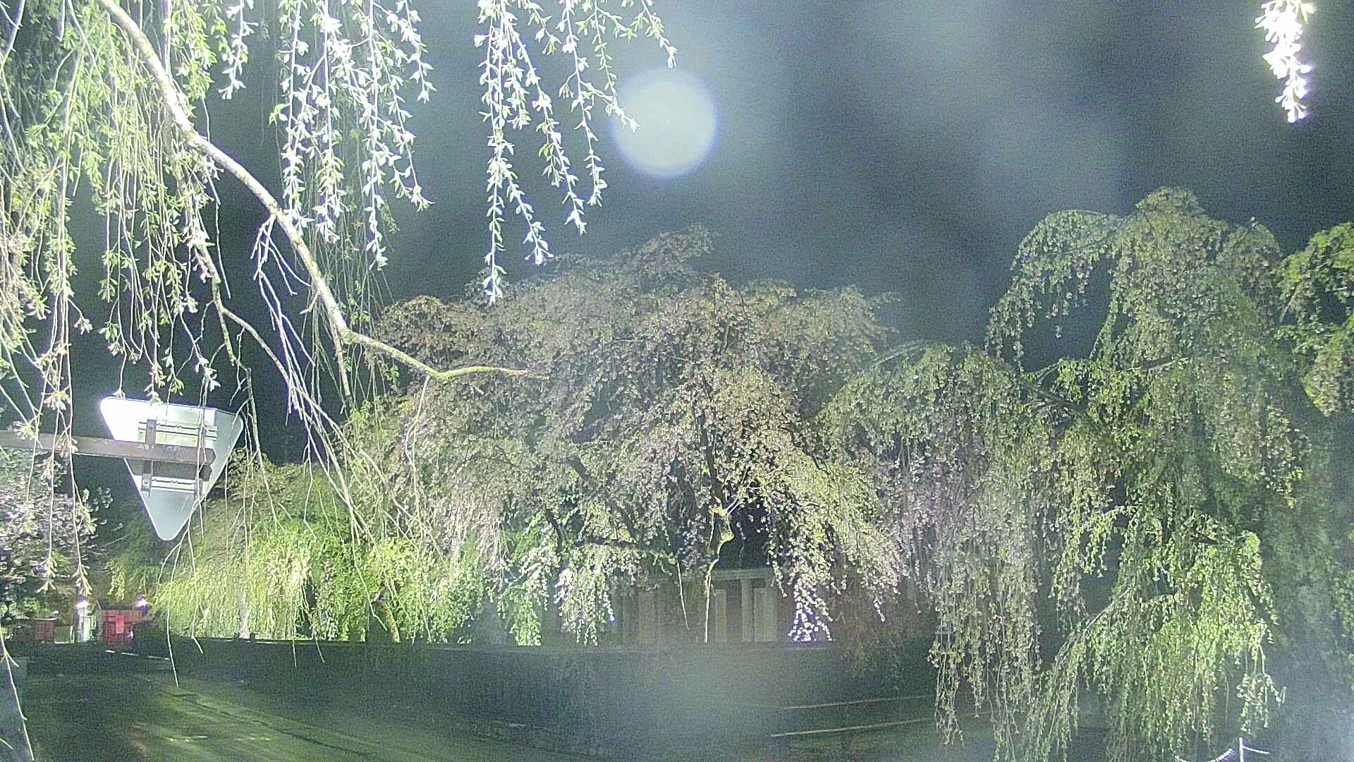 area1-20250429215015.jpg