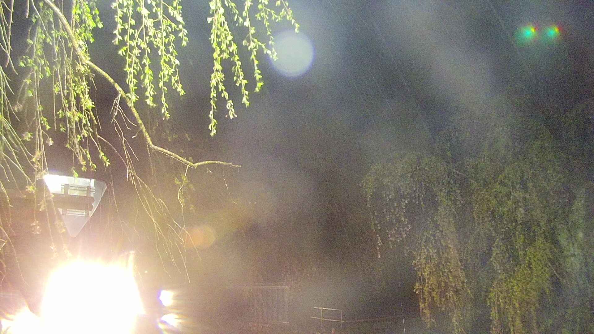 area1-20250430025015.jpg