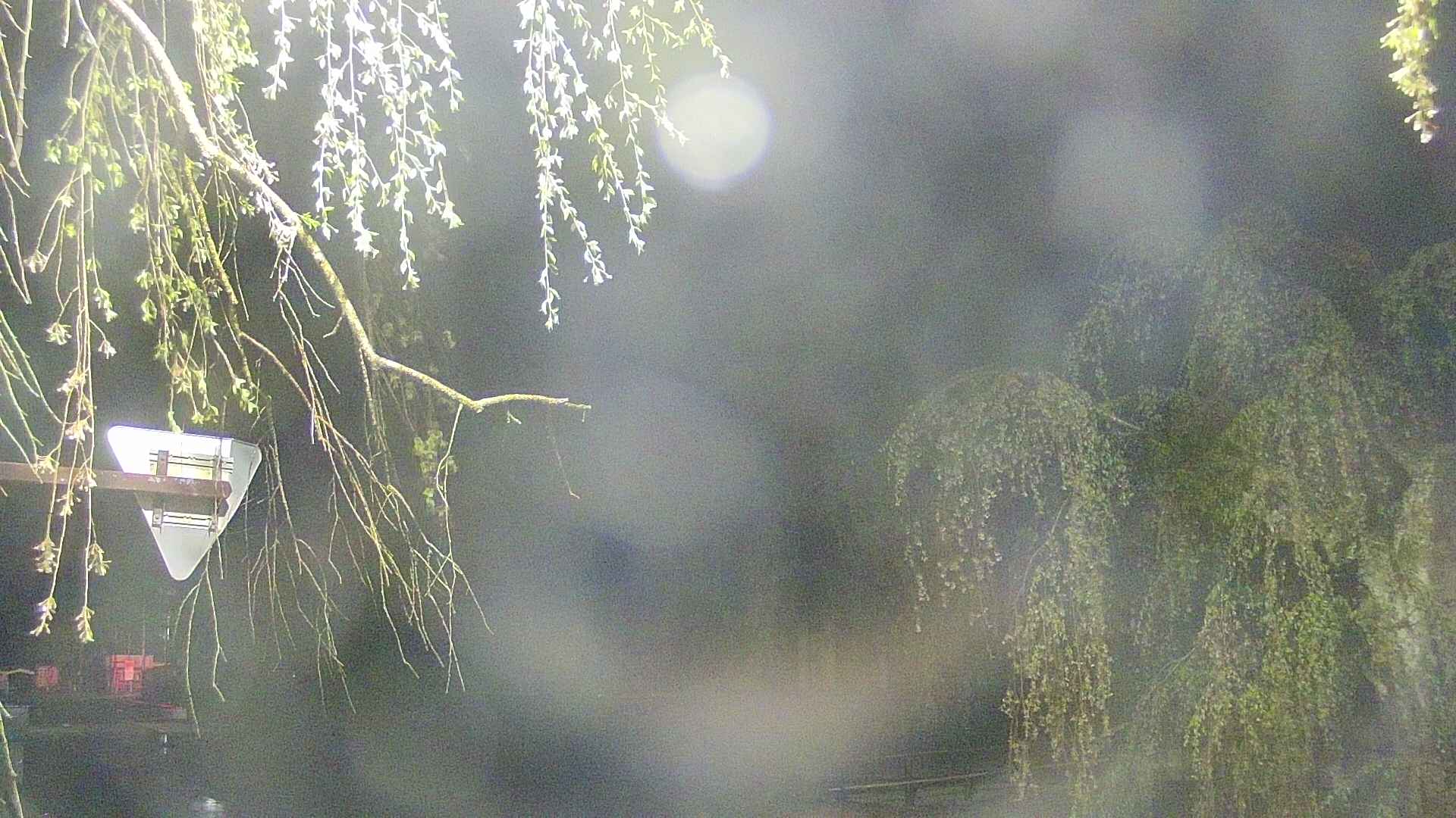 area1-20250430031016.jpg