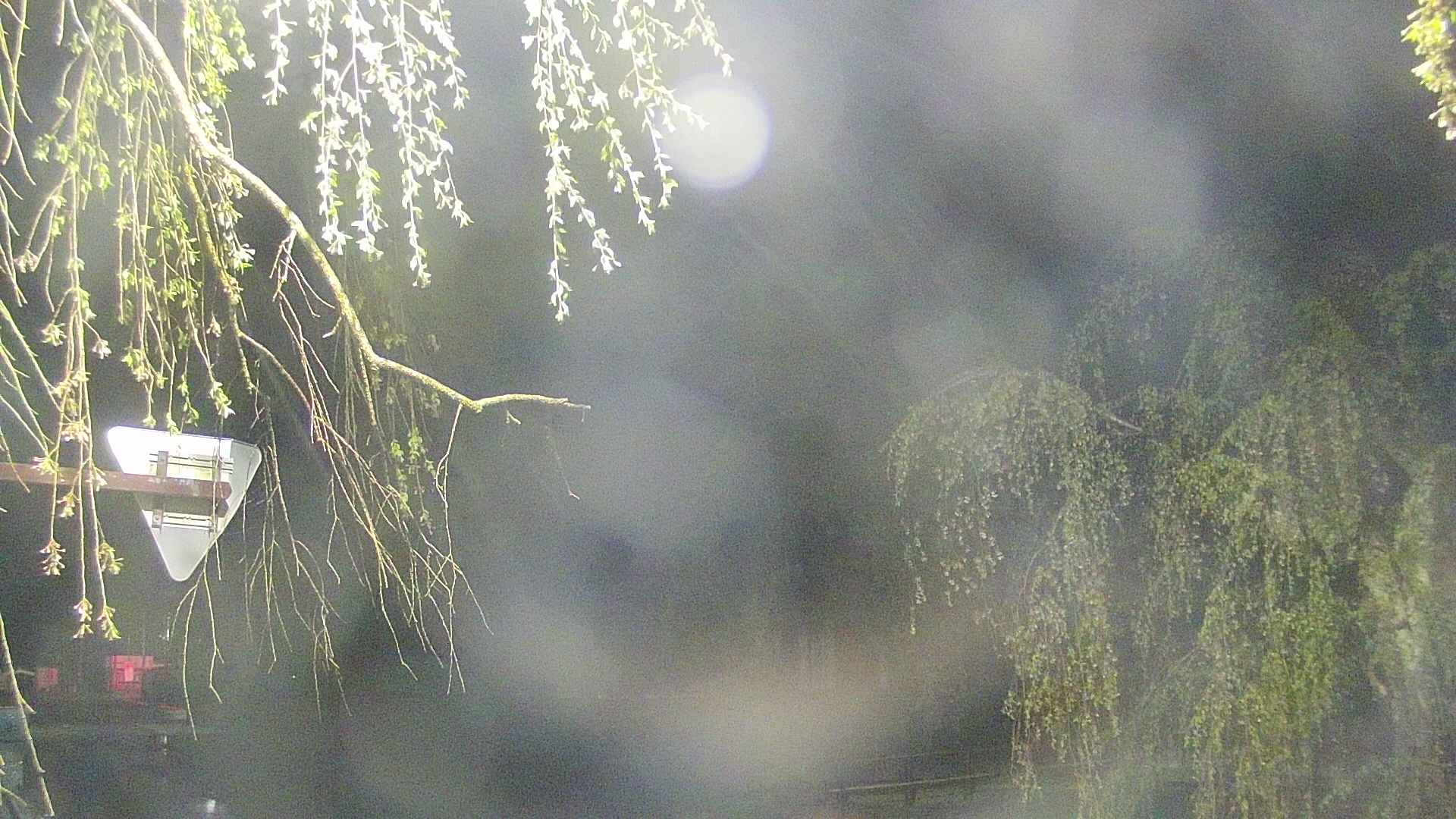 area1-20250430032016.jpg