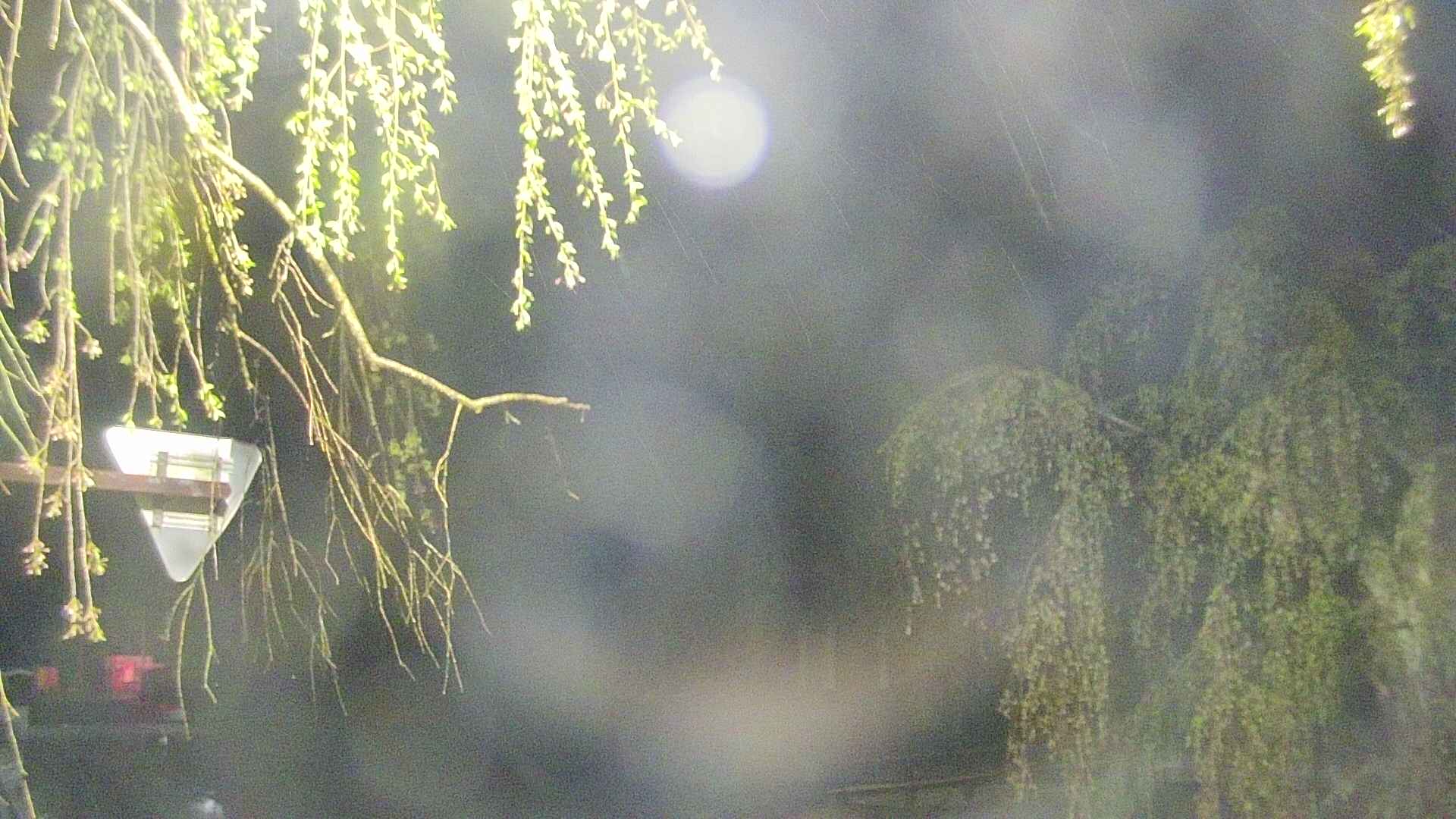 area1-20250430033016.jpg