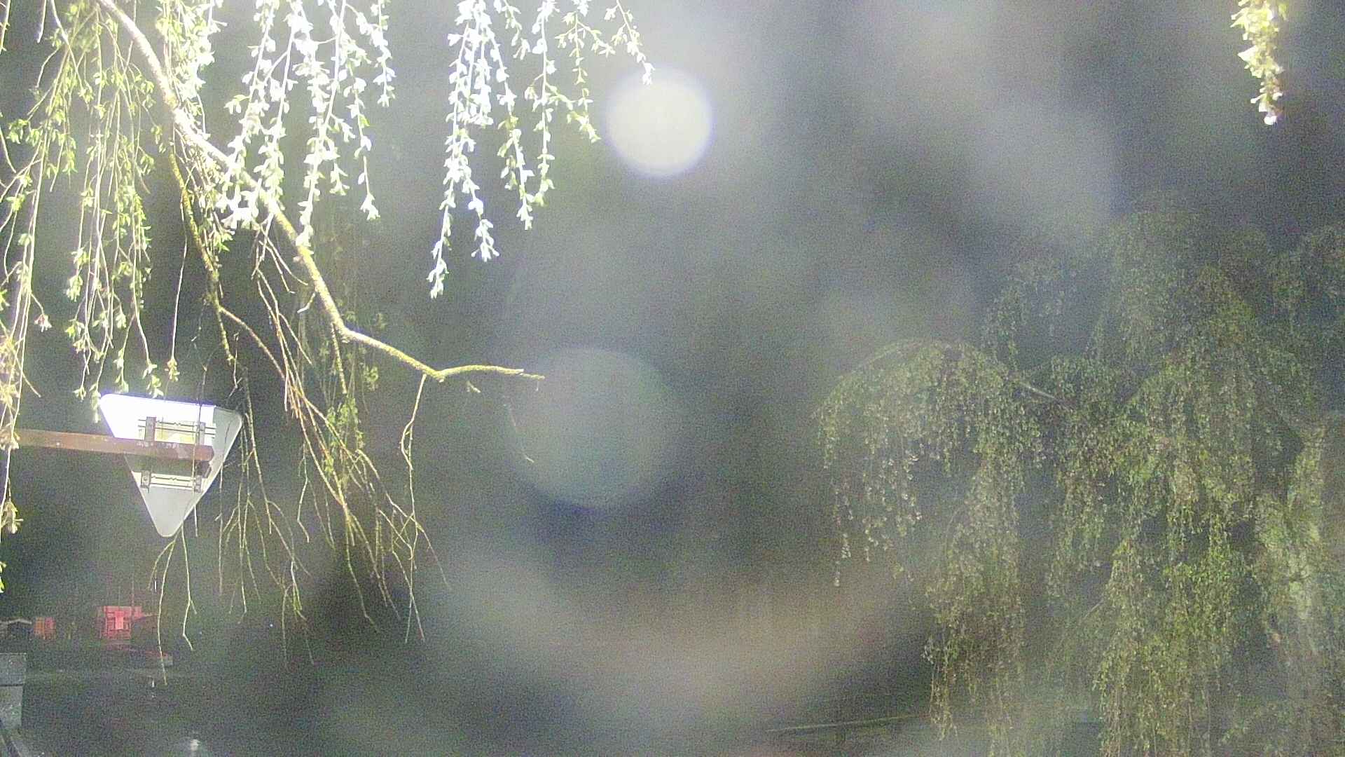 area1-20250430034014.jpg