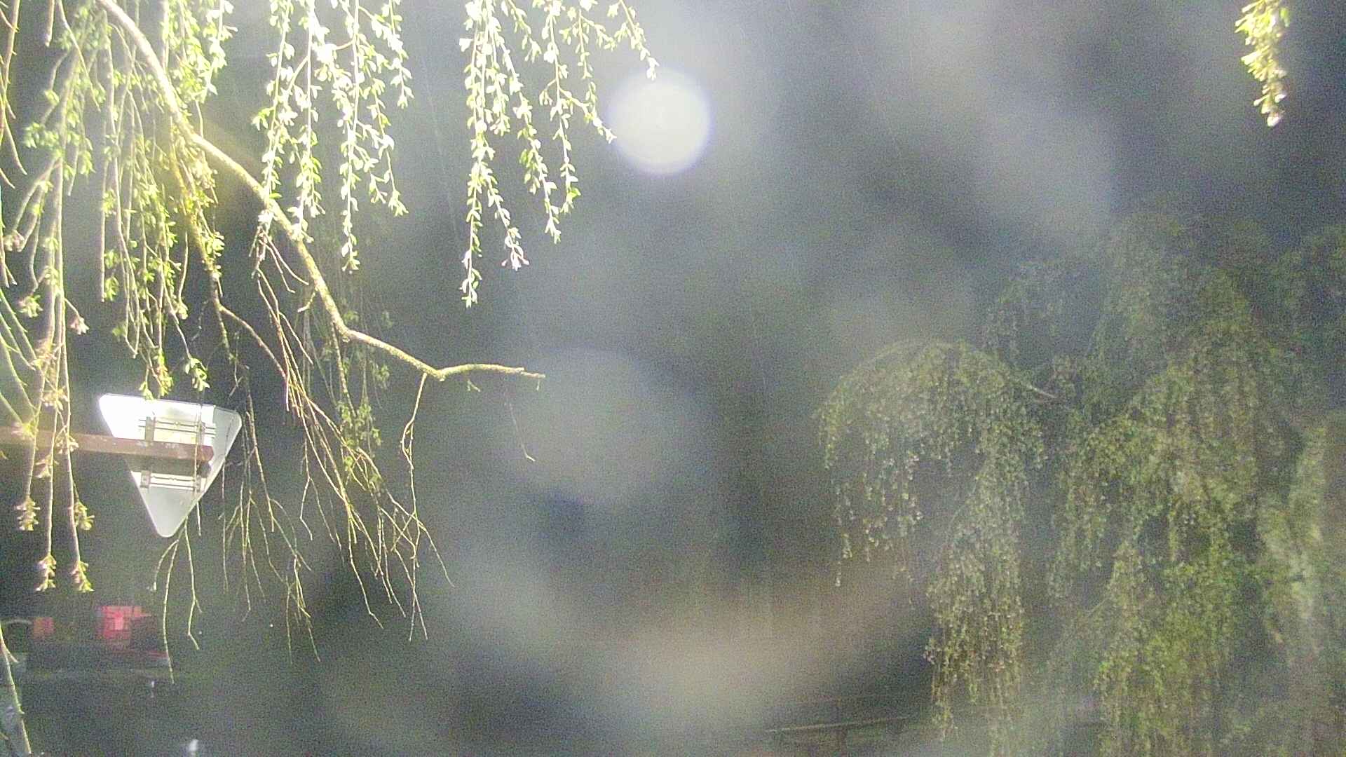 area1-20250430035016.jpg