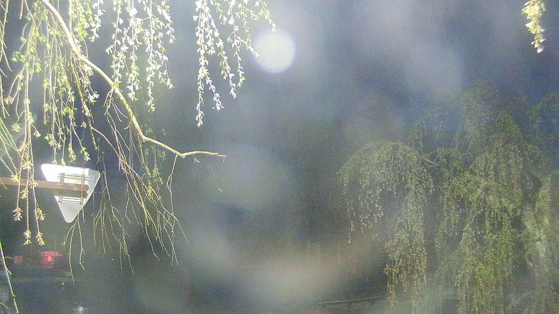 area1-20250430040016.jpg