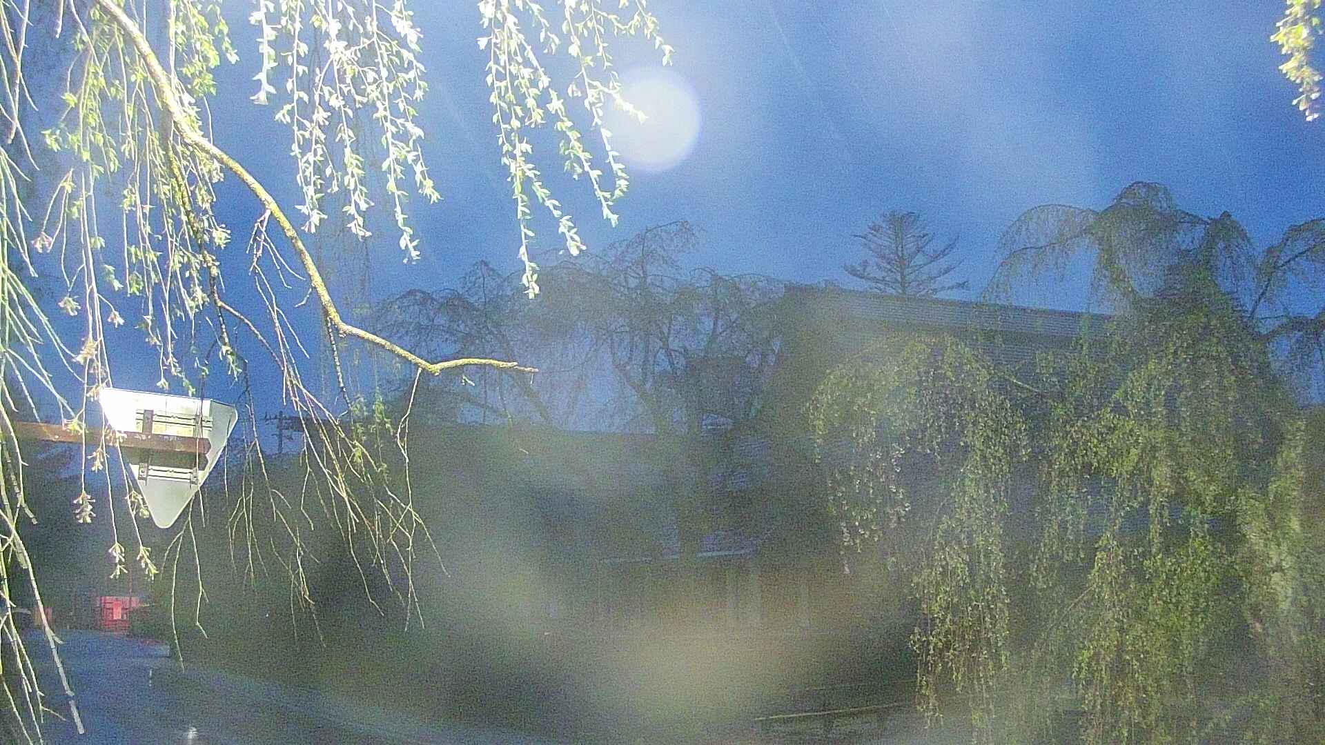 area1-20250430041015.jpg